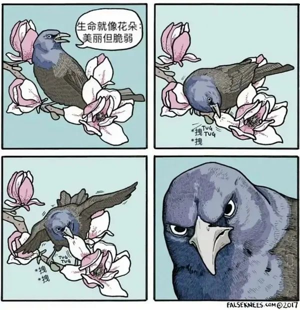 漫画3.jpg